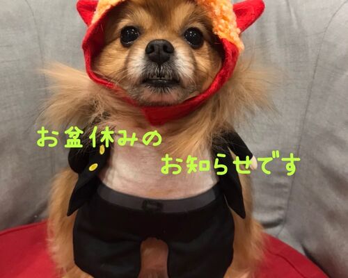 お盆休み